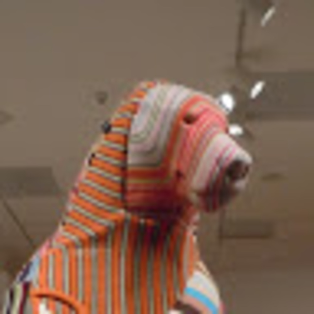 Meet your Posher, Andy